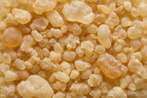 Boswellia